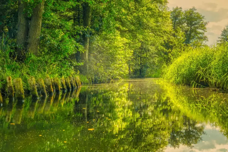 Grüner Wasserweg im Biosphärenreservat Spreewald